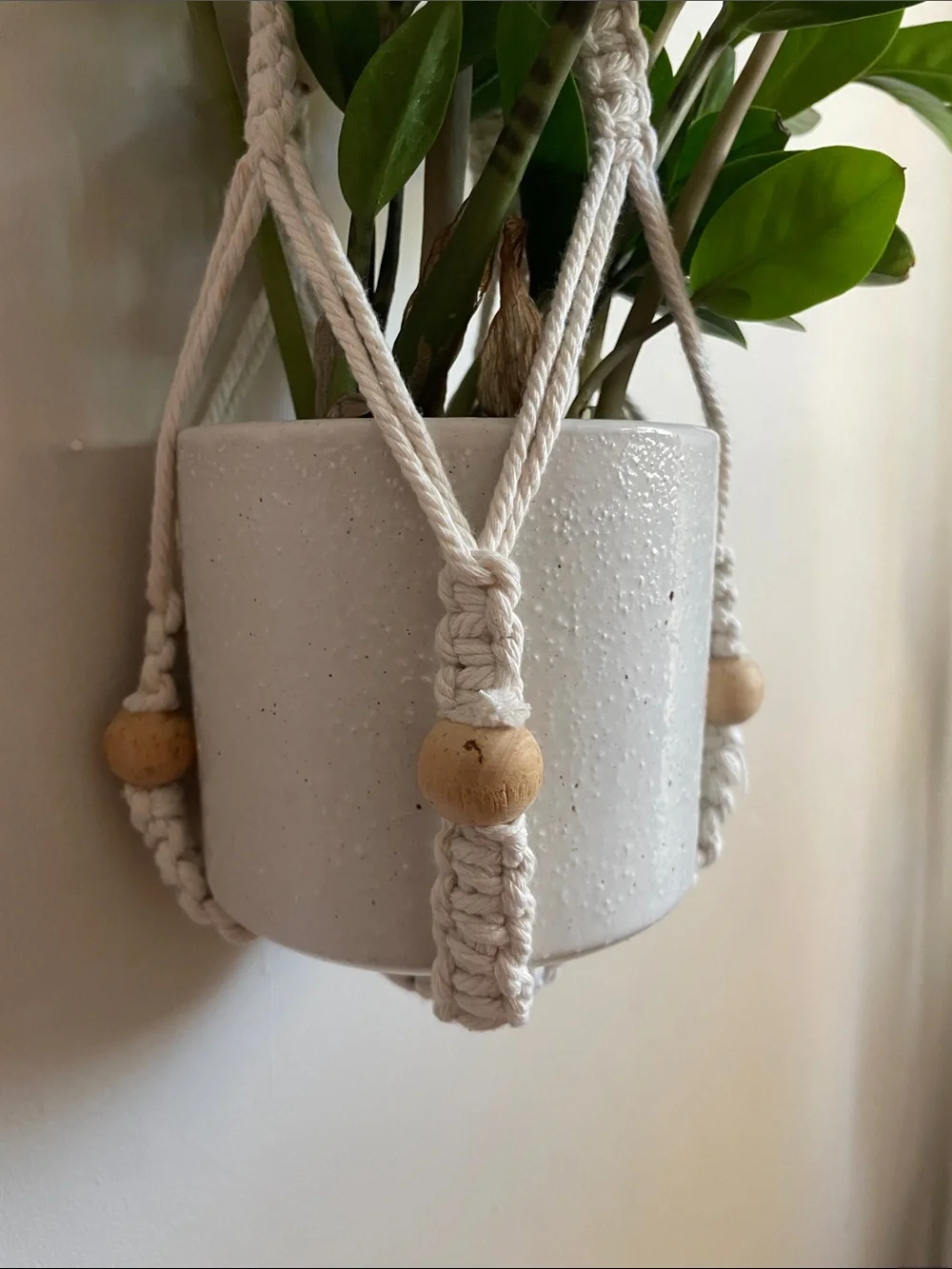 •| macrame plant holder - Picture 6 of 7